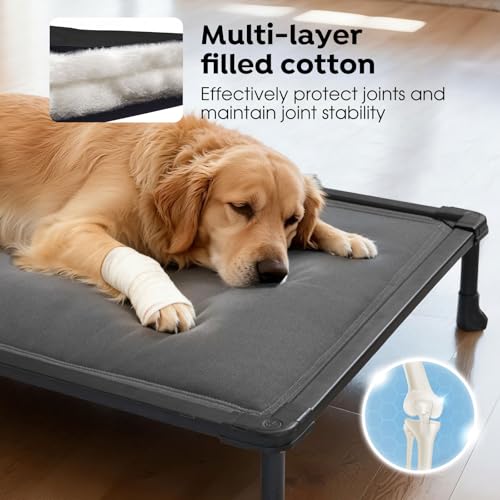 Veehoo Chew Proof Elevated Dog Bed, Indestructible Raised Dog Cot, Orthopedic Dog Platform Bed with Soft Padded Mat, Durable Waterproof Pet Cot for Indoor, Outdoor or Crate, 49-Inch, Grey - color: Grey, size: 49.0"l X 31.5"w X 7.0"th
