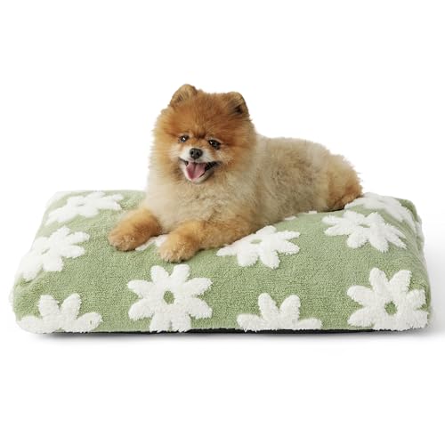 LE SURE Small Dog Beds-Thick Shredded Chopped Foam Pet Bed Gift Indoor with Removable Cover, Cute Modern Fuzzy Plush & Anti Slip Bottom, Green - color: Green, size: 24.0"L x 16.0"W x 2.5"Th