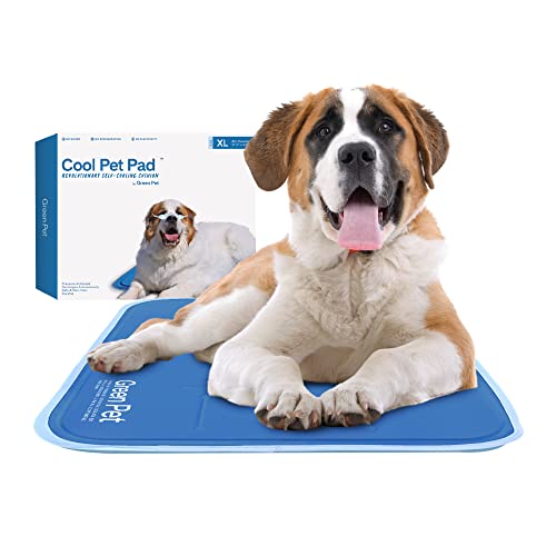 The Green Pet Shop Cool Pet Pad - Extra Large, Blue - Self-Cooling, Pressure Activated Mat for Dogs & Cats from 80+ lbs - Non-Toxic Gel, No Water Needed - color: Blue, size: X-Large