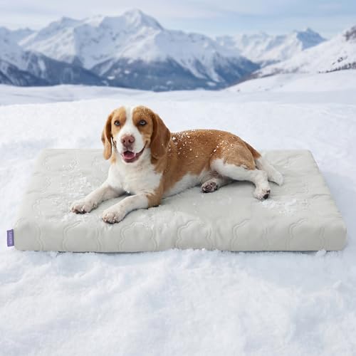LE SURE Cooling Dog Beds Large Sized Dog, Q-Max>0.5 Cooling Mat with Removable Washable Cover, Breathable Orthopedic Egg Crate Foam Non-Slip Summer Pad for Active/Senior/Long-Haired Pets, 35x22 Inch - color: Cooling Gray, size: 35x22x2.8