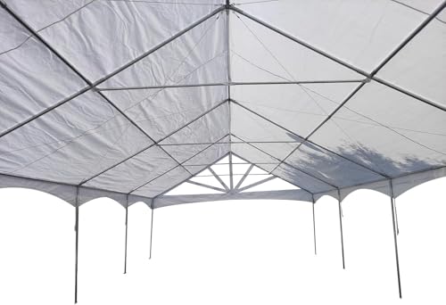 DELTA 40'x20' PE Marquee Party Tent, Tents for Parties, Large Wedding Tent, Carpas para Fiestas,Heavy Duty Canopy, Outdoor Event with Waterproof Top + 5 Storage Bags - style: 40'x20' PE Marquee Tent