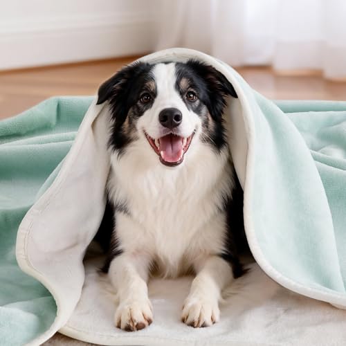 LOOBANI Waterproof Dog Blanket for Couch: Reversible Flannel Bed Blanket for Medium Large Dogs Liquid Proof, Soft Throw Blanket Couch Cover Protector for Sofa, Crate, Travel, Picnic, 50" x 60", Green - color: Green, size: 50" x 60"