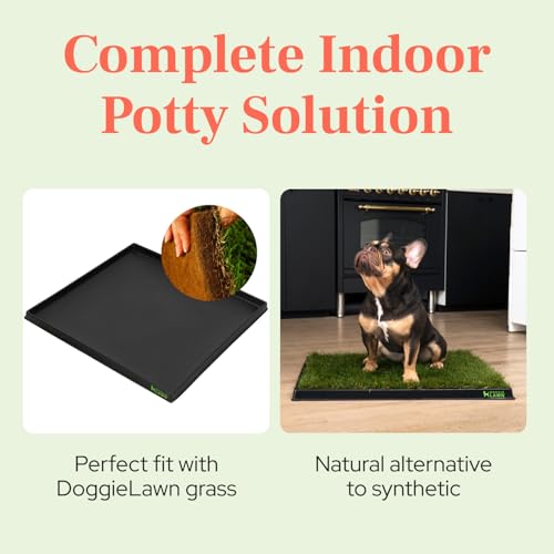 DoggieLawn Non-Spill Dog Potty Training Tray - Leak-Proof HDPE Plastic Grass Pad Holder for Apartments & Urban Homes - Reusable & Washable-Perfect for Indoor Dogs & Puppies-Medium (25"x20.5"x1.5") - size: Medium (25 x 20.5 x 1.5 inches)