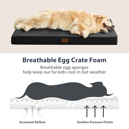BFPETHOME Outdoor Dog Beds for Large Dogs, Waterproof Dog Bed for Medium, Large, Extra Large Dogs, Orthopedic Pet Bed with Removable Washable Cover, Egg Crate Foam Pet Bed Mat. (30 x 20in, Black) - color: Black, size: 30.0"l X 20.0"w X 3.0"th
