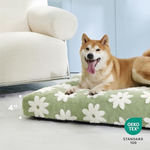 LE SURE XLarge Dog Bed-Thick Shredded Chopped Foam Pet Bed Indoor with Removable Cover, Cute Modern Fuzzy Plush & Anti Slip Bottom, Green - color: Green, size: 41.0"L x 28.0"W x 4.0"Th
