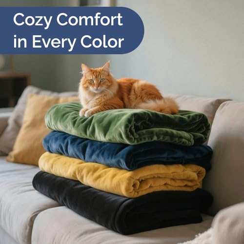 Ultra Soft Fleece Blanket Twin Size - Flannel Fleece Luxury Twin Blanket - Lightweight for Couch Bed Chair - Thick, Warm & Breathable - All Season Cozy Fuzzy, Anti-Static Microplush Bedding, Dark Grey - color: 11 - Dark Grey, size: Twin (60" x 80")