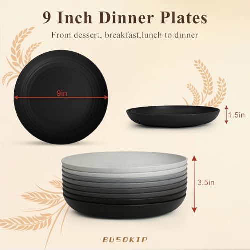 Salad Plates Set for 8, Unbreakable Wheat Straw Plates 9 Inch, Round Dinner Plates for Camping, Picnic, Travel, Microwavable Kitchen Plates for Vegetable, Charcuterie, Pizza - BlackGrey - color: blackgrey, size: 9 inch