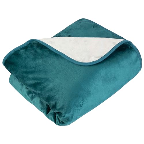 Lavish Home Waterproof Blanket - 80x80 King-Size Blanket for Kids, Pets, and Outdoors - Throw for Bed, Couch, Chair and Car (Green) - color: Green