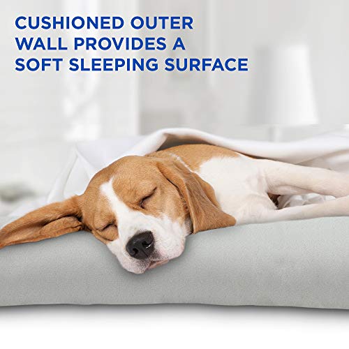 Arf Pets Dog Self Cooling Pet Bed – Solid Gel Based Self Cooling Mat for Pets, Includes a Foam Based Bolster Bed for Extra Comfort - size: 26" x 40