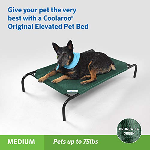 Coolaroo The Original Cooling Elevated Pet Bed, Medium, Brunswick Green - color: Brunswick Green, style: Medium Dog Bed