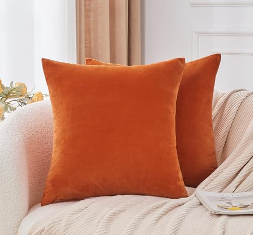 Throw Pillow Covers Burnt Orange Set of 2 18x18 Inch Fall Pillow Covers, Soft Velvet Farmhouse Neutral Decorative Pillowcases for Couch Sofa Bed, Home Boho Decor, Modern Cushion Covers - color: Burnt Orange1, size: 18" x 18" (Pack of 2)