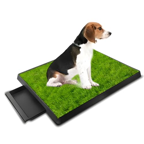 Dog Urinal containing 2 Replaceable lawns, Dog Potty Grass .Portable pet bedpans that can be Washed， Suitable for Almost All Types of Dogs. Length: 25 inches. Width 20 inches. Height: 3 inches