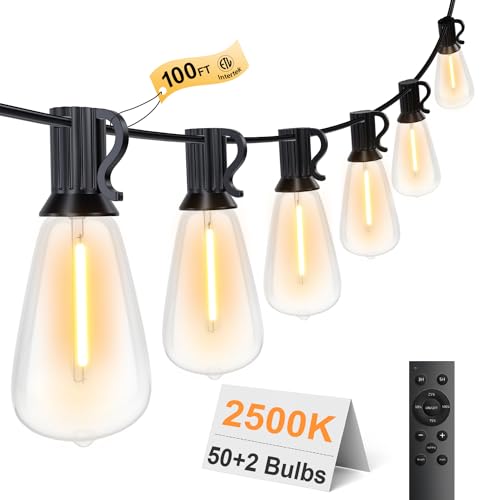 100FT Remote Outdoor String Lights for Outside, 50+2 LED Waterproof Shatterproof Edison Dimmable Timer Bulbs, 2500K Warm White Patio Lights for Garden Backyard Yard Hanging Lighting - size: 100FT
