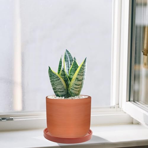 2 Pack Ceramic Plant Saucer Pot Tray 6 Inch Terracotta, Planter Saucers 6 7 8 9 10 11 12 15 Inch, Durable Sturdy Flower Drainage drip Water Tray for Glazed Pots Base (6.4 Inch- Red Terracotta) - color: Terracotta, size: 6.4in 2pack