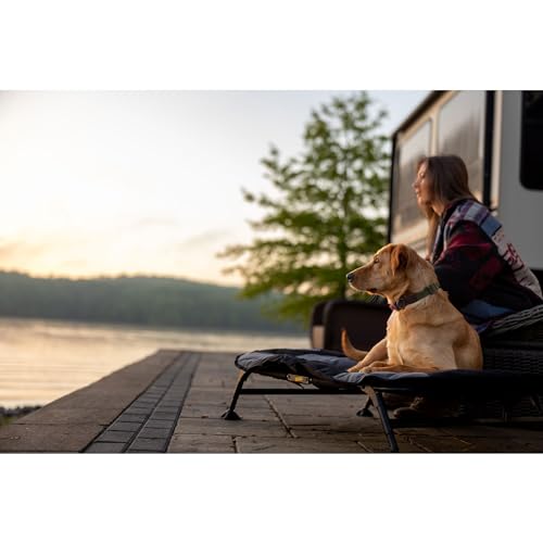 Momarsh Elevated Dog Cot with Washable Soft Pad & Folding Frame for Travel & Home Use | All in One Home Cot with Non Slip Feet | Large Portable Dog Bed | Perfect Padded Pet Bed System for Dogs - color: Elevated Home Cot