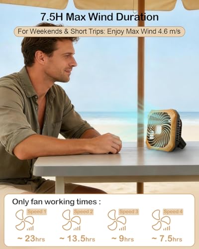 Odoland Portable Camping Fan with LED Lantern, 40H Rechargeable Battery Operated Quiet Tent Fan with Hanging Hook for RV Car Beach Outdoor Hurricane Emergency Outages - color: Brown