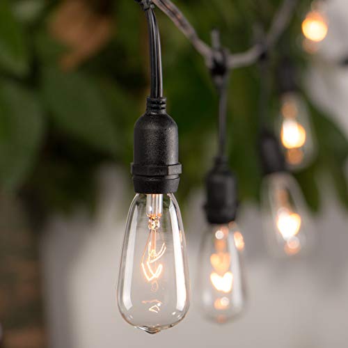 10 Pack Edison Replacement Light Bulbs,7-Watt E17 Screw Base ST40 Replacement Clear Glass Light Bulbs for Outdoor String Lights, Warm White - style: E17 Bulbs - 10 PC