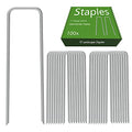 AAGUT 100 Pack 6 Inch Landscape Staples 11 Gauge Garden Staples, Galvanized Heavy Duty U-Shaped Sod Pins,Yard Ground Lawn Fence Stakes for Weed Barrier Fabric Irrigation Tubing - color: Silver, size: 6'' x 100Pcs-11Ga