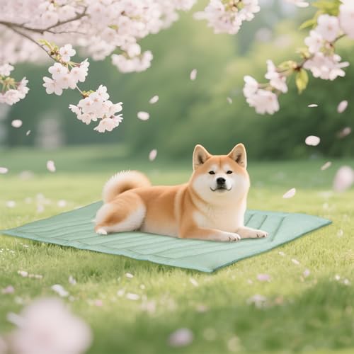 Cooling Mat for Dogs, Ice Green 48" X 28" Self-Coolings Foldable Dog Cooling Mat Q-MAX>0.4 Pet Blanket, Breathable, Washable Cooling Dog Pad for Dogs & Cats, Summer Relief Travel Indoor-B Size - color: Ice Green, size: Size B (48.0"L x 28.0"W x 0.9"Th)