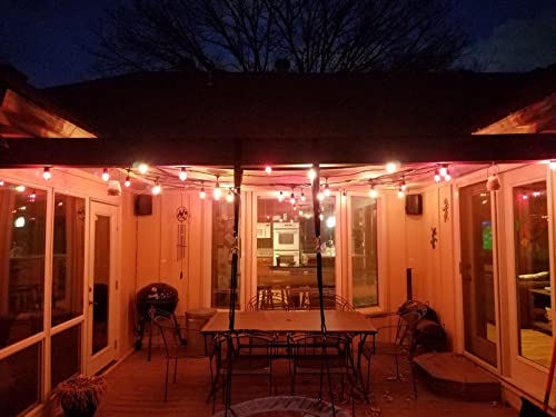 Rolay S14 Clear String Light Bulbs, 2W Plastic LED Replacement Bulbs for Outdoor Patio String Lights with E26 Base, Pack of 25 - color: Led-clear
