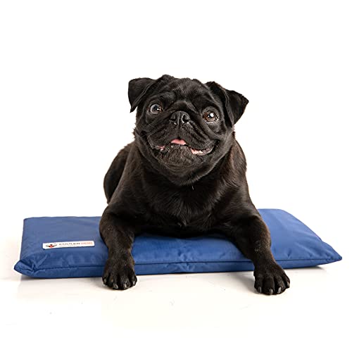 CoolerDog Hydro Cooling Mini Mat for Dogs – Dog Cooling Mat & Cooling Pad for Hot Weather – Triple Layer Ice & Water Cooling System (18" x 10.5") - size: Mini