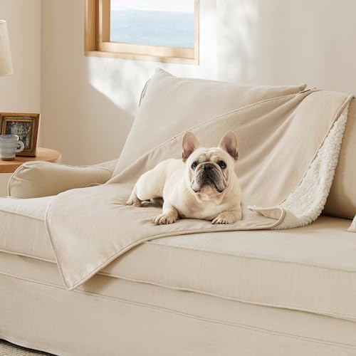 Bedsure Cat Blanket for Indoor Cats - Waterproof Calming Cat Blankets for Couch Protection, Sherpa Fleece Pet Blanket, Soft Plush Reversible Throw Furniture Protector, 40"x30", Cream - color: Cream, size: M(30x40")