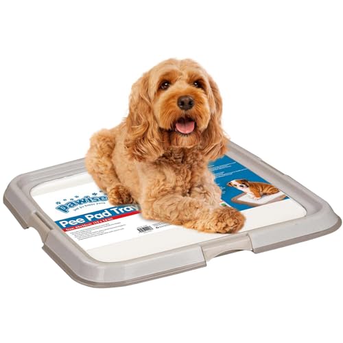 Pawise Dog Pee Pad Holder for Puppy, Puppy Pad Holder Tray, Pet Training Pee Pad, Indoor Potty Tray for Senior Dogs, Dog Toilet for Newborn Puppies, 23.5" x 23.5" - size: Small