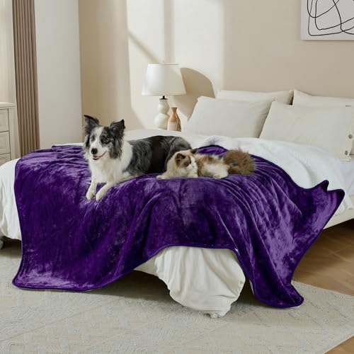 Waterproof Blanket for Bed Couch Sofa, Soft Liquid Pee Proof Pet Blanket for Dog Puppy Cat, Reversible Sherpa Fleece Furniture Protector (Dark Purple, 50x60 inches) - color: Dark Purple, size: 50x60 inches