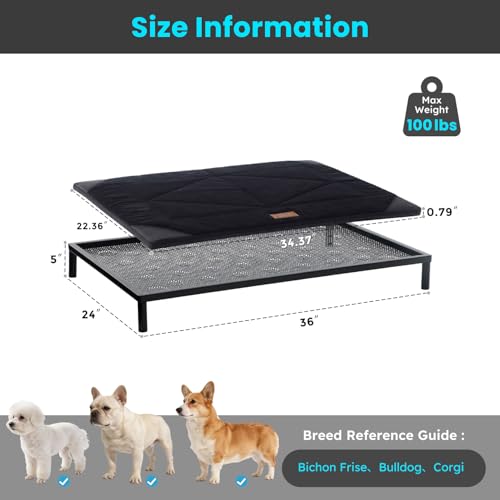 ZOMISIA Chew Proof Elevated Dog Bed for Medium Dogs - Raised Pet Cot with Removable Waterproof Padded for Outdoor Use, Indestructible and Washable, 36" L x 24" W x 5" H, Black - size: M - 36"l X 24"w X 5"h