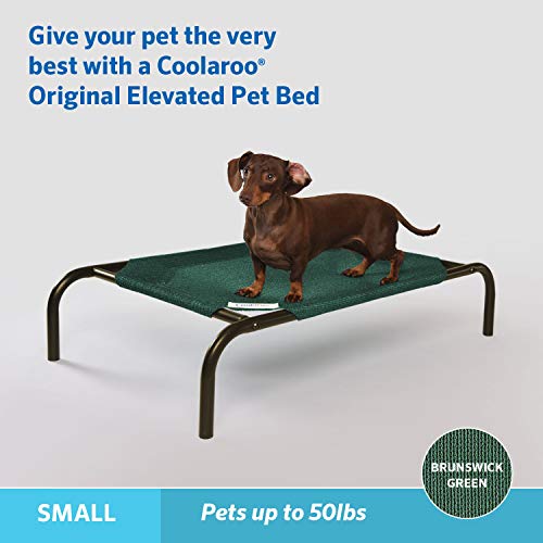 Coolaroo The Original Cooling Elevated Pet Bed,Brunswick Green, Small - color: Brunswick Green, style: Small Dog Bed