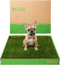 DoggieLawn Real Grass Puppy Pee Pads - Potty Training Pads for Dogs & Puppies - Indoor Grass Dog Potty for Apartments & Bad Weather - Natural Living Grass - Large 24 x 24 Inches - Made in USA - size: Large 24x24
