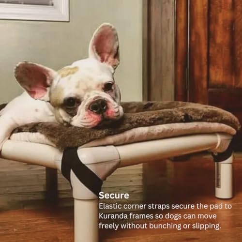 Kuranda Pillow Pad - Large - 40" x 25" - Smoke - size: Large - 40" X 25"
