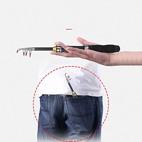 Fishing Rod, Universal Mini Small Sea Pole Portable Short Pole Ice Fishing Rod Mini Pocket Sea Fishing Tools for Ice Fly Fishing Sea Saltwater Kit Gift for Festivals - size: 1m
