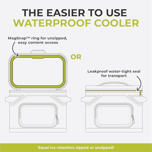 CORE Magnetic Leak Proof Soft Cooler with Waterproof Zipper | Insulated Bag Portable Ice Chest Box | Best Soft Cooler for Food & Beverages for Tailgating, Car Camping, Travel, and Family Beach Picnics - color: Shadow Gray, size: 18 Can