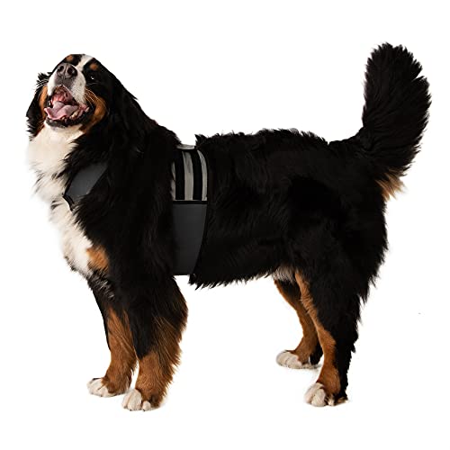 CoolerDog Dog Cooling Vest & Cooling Collar – Ice Vest for Hot Weather Heat Relief, Re-Freezable Pure Water Inserts (X-Large 34”–40” Girth) - size: XL
