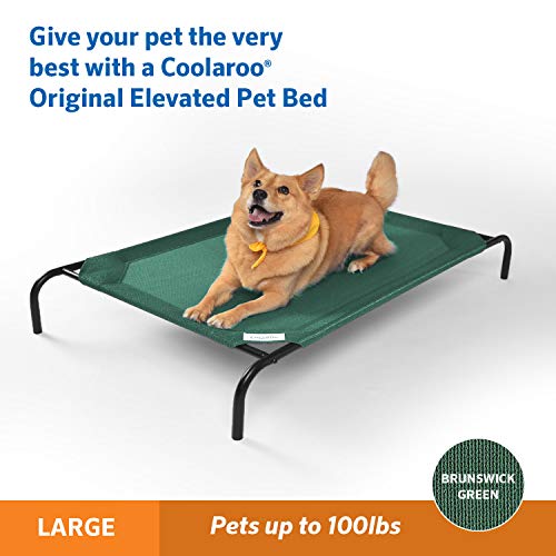 Gale Pacific Coolaroo The Original Cooling Elevated Dog Bed, Indoor and Outdoor, Large, Brunswick Green, 51.00" x 31.50" x 8.00" - color: Brunswick Green, style: Large Dog Bed