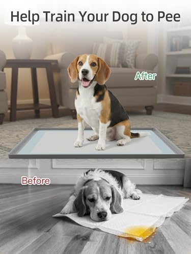 Dog Pee Pad Holder, 23.4 x 23.4 Inch Silicone Potty Holder, Leak-Proof & Non-Slip Design, Protects Floors from Mess, Easy-Clean, Lightweight & Portable, Fits Regular Pads, Gray