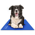 The Green Pet Shop Chillz Gel Mat, Large - Pressure-Activated Cooling Pad for Pets 25-50 lbs - Non-Toxic, No Water or Refrigeration Needed - Ideal for Home, Travel & Crates - size: L