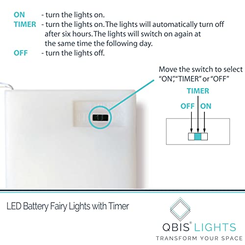 QBIS Warm White Fairy Lights Battery Operated With Timer Mode, 40 Micro LED for Mason Jars, 6.5ft Silver Wire Indoor Use - size: 1PK-40 Warm White
