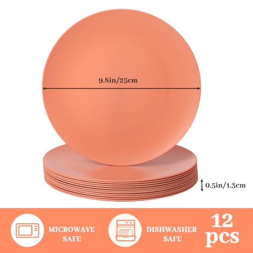12-Pack 9.8 Inch Plastic Salad plates,Lightweight Unbreakable Dinner plate for Daily Use, Microwave & Dishwasher Safe Plates,Plastic Plates for Camping, Outdoor, food, Fruit (Orange) - color: Orange, size: 9.8 Inch