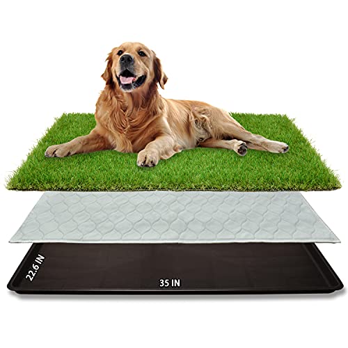 Dog Grass Large Potty Patch, Dog Litter Boxes Artificial Grass Bathroom Turf for Pet Training, Washable Puppy Pee Pad, Perfect Indoor/Outdoor Portable Potty Pet Loo (Tray system-35"X22.6") - size: L-35"X22.6"