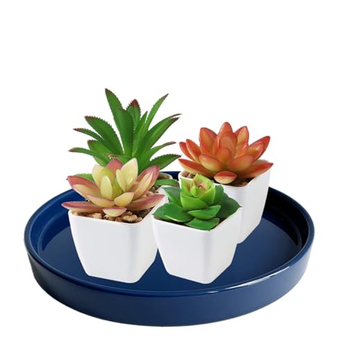 2 Pack Ceramic Plant Saucer Pot Tray 6 Inch, Planter Saucers 4 5 6 7 8 9 10 11 12 13 Inch for Indoors Outdoor, Durable Sturdy Flower Drainage drip Water Tray for Glazed Pots Base (6.4 Inch-Blue) - color: Blue, size: 6.4in 2pack