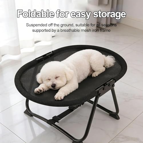 Cat Bed Hammock, Free-Standing Elevated Dog Cot for Indoors and Outdoors,Foldable No-Assembly Pet Bed with Breathable Mesh,Lightweight Raised Pet Cot for Cats and Small Dogs (Black) - color: Black