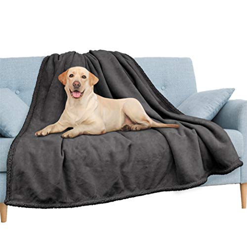 Pavilia Waterproof Couch Blanket | Dog & Cat Blanket Protector | Plush Soft Warm Fuzzy Sherpa Throw, Dark Grey, 60x80 - color: Charcoal, size: 60x80 Inches