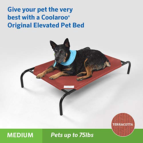 Coolaroo Original Elevated Dog Bed - Breathable Off-The-Ground Pet Bed with Cooling Fabric, Joint Relief & Moisture-Resistant Fabric, 100% Recyclable, Easy Clean, Terracotta, Medium - color: Terracotta, style: Medium Dog Bed