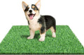 23.5 x 19.5 inches Artificial Grass Turf for Dogs, Fake Grass Potty Training Mat for Dogs, Puppy Turf Pee Pad on Indoor and Outdoor - size: 23.5 x 19.5 Inch (Pack of 1)