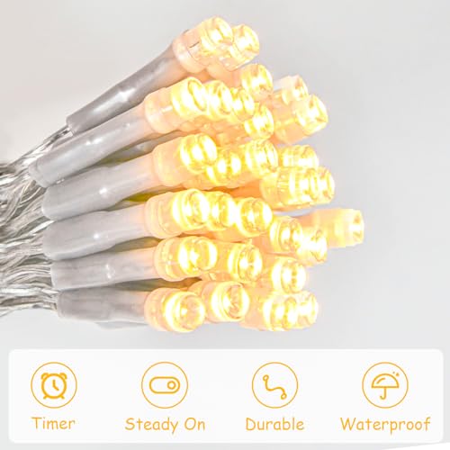 cshare String Lights Outdoor Waterproof 9.8ft 30 LED, Warm White Fairy Lights Battery Operated with Timer Clear Wire for Indoor & Outdoor Decorations Garland Party Garden - color: Warm White