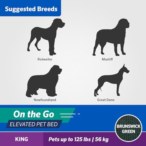 Coolaroo On-The-Go Elevated Dog Bed - Foldable Pop-Up Travel Dog Bed with Breathable, Moisture-Resistant Fabric, Carry Bag Included, Lightweight & Portable, Brunswick Green, Extra Large - color: Brunswick Green, style: King