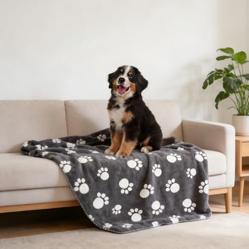 Kritter Planet Waterproof Pet Blanket - Soft Sherpa Dog Blanket, Washable Leakproof Blanket for Pets, Waterproof Pad for Dogs & Cats - color: Dark Grey Paw, size: 50×60 Inches