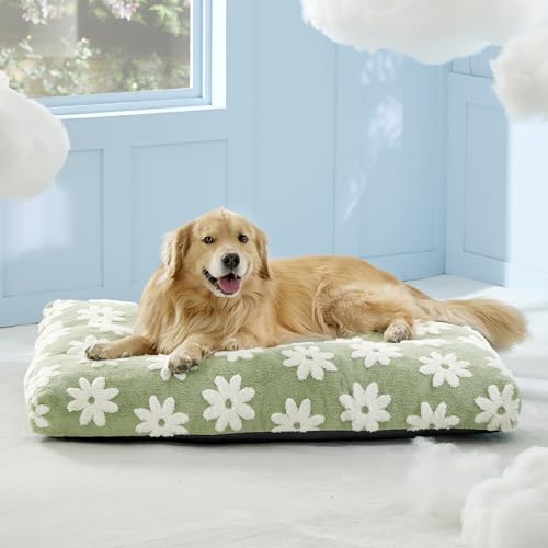 LE SURE Extra Large Dog Bed-Thick Shredded Chopped Foam Pet Bed Indoor with Removable Cover, Cute Modern Fuzzy Plush & Anti Slip Bottom, Green - color: Green, size: 44.0"L x 32.0"W x 4.0"Th